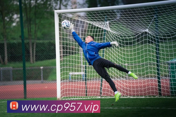 未来规划